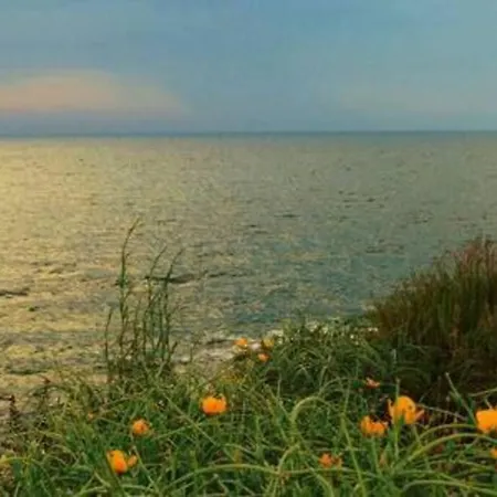 Coastal Seawaves * Xghajra